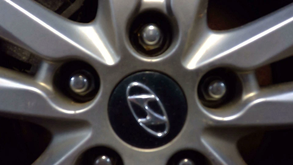 Genuine OEM Hyundai Santa Fe Center Cap 2013 - 2020 529603S110 - Image 1 of 1