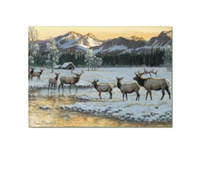 Cartoline di Natale in scatola cervo alce di montagna (confezione da 10) - Foto 1 di 1