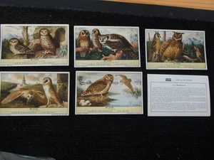 ONE COMPLETE SETOF SIX LIEBIG TRADE CARDS - Picture 1 of 1