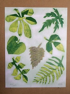 OCTAVIO ROTH - 1990 - VEREINTE NATIONEN WFUNA KUNSTGRAFIK - HEILPFLANZEN - Bild 1 von 3