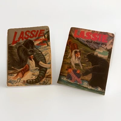 2 Vintage Big Little Books: Lassie Adventures In Alaska & Old One Eye 1967 1975 Foto 1 de 4