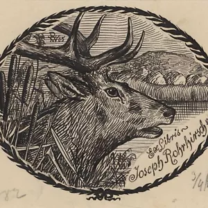Exlibris Zeichnung Tinte Joseph Rohrhirsch Symbolismus Original monogramm 1905 - Bild 1 von 3
