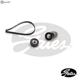 VRIBBED BELT SET K016PK1768 FOR FORD J4C/J4T/J4R/J4Q/J4L/J4J 1.3L 4cyl - Picture 1 of 9