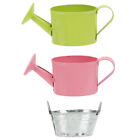 Retro Mini Watering Cans - Perfect for Miniature Garden Enthusiasts