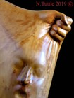 ORIGINAL SCULPTURE CEDAR SURREAL NIGHTMARE UNIQUE RECYCLE ORGANIC NANCY TUTTLE