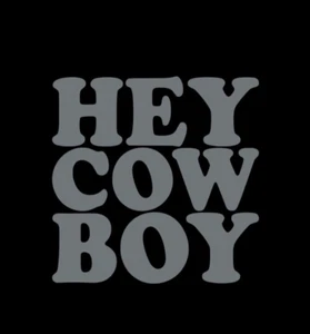 Hey Cowboy Vinyl Aufkleber Aufkleber SILBERGLANZ 10x10 cm - Bild 1 von 2