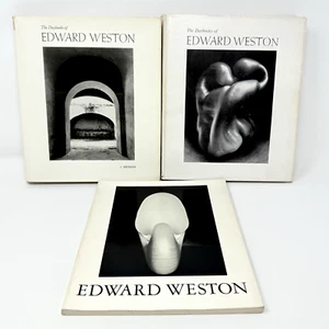 (3 books) The Daybooks of Edward Weston I Mexico & II California and the West - Imagen 1 de 24