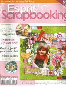 ESPRIT SCRAPBOOKING N°15 RELIURES ORIGINALES / FLOWER SOFT / REALISEZ COCARDES - Imagen 1 de 1