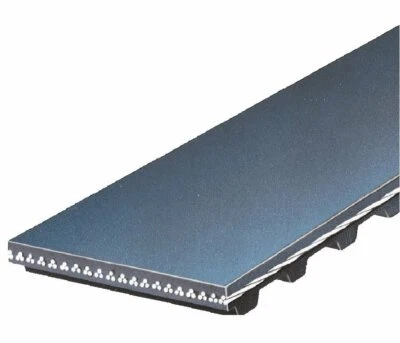 Puertas de correa de eje de equilibrio del motor Acura CL 1997-1999 160OU22 1997 1998 1999 Foto 1 de 2