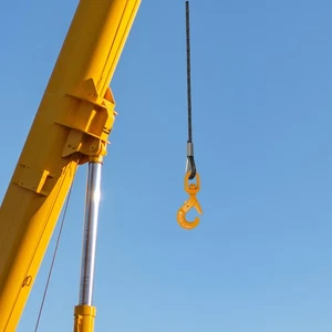 Steel Winch Cable,Wire Rope with Swivel Self-locking Hook, Wire Rope Winch Cable - Picture 1 of 17