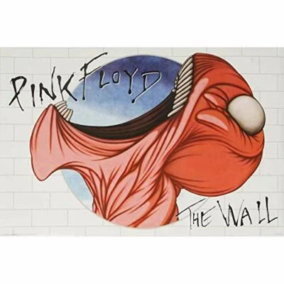STUDIO B Laminated Pink Floyd The Wall Music Poster 24x36 inch