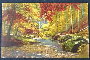 Postal de Brook in Forest Scene década de 1910 sin usar - Imagen 1 de 1