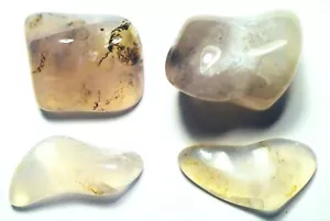 100cts POLISHED GRAVEYARD POINT PLUME AGATE OREGON # 11 - Picture 1 of 1
