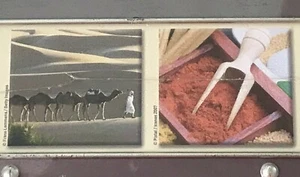 Rompecabezas de dos caras MB Recto Verso en hojalata camellos especias 2007 Hasbro - Imagen 1 de 4