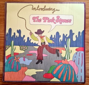 The Pink Stones - Introducing.... The Pink Stones - Vinyl - Picture 1 of 5
