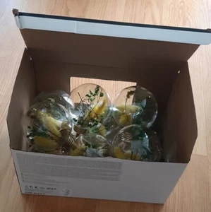 Leuchtobjekt Trockenblumen mit Seil Deko NEU - Bild 1 von 4