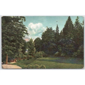 AK Bad Harzburg Aufgang zur Sennhütte Deutschland 1908 - Bild 1 von 3