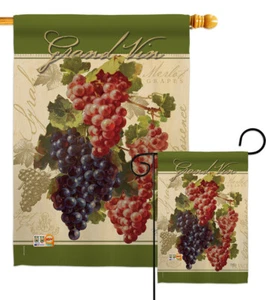 Bandiera rossa e viola uva frutta vino dolce giardino casa cortile - Foto 1 di 13