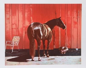 Richard McLean, Kahlua Lark, Lithograph, signed and numbered in pencil - Picture 1 of 4