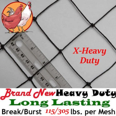 PINNON HATCH FARMS LLC Poultry Netting 50' x 150' X-Heavy Knotted 2" Mesh Aviary Hawk Stop Chicken Net