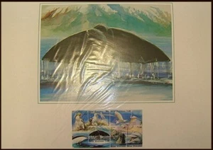 NEW ZEALAND STAMP POINTS PRINT 1996 WILDLIFE WHALE (ID:SPP03) - Picture 1 of 2