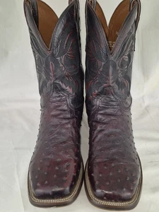 Botas Dan Post Para Hombre Alamosa Pluma Completa Avestruz Punta Cuadrada Negro Cereza Talla 13D - Imagen 1 de 15