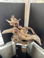 Native American Indian Chief Carved On Driftwood Signed Sculpture