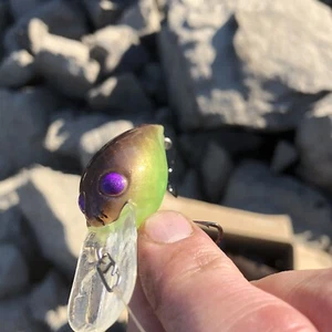 Verruca personalizzata stile pre-rap premium vuota fantasma rame viola Chartreuse - Foto 1 di 12