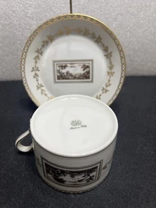 Richard Ginori Fiesole Cup & Saucer Vintage Italy - Picture 1 of 11
