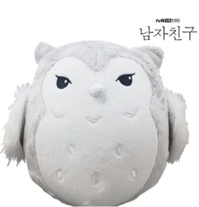 Boyfriend TVN Korean Drama Owl Plush Doll Toy Gray Park Bo Gum Official Goods - Foto 1 di 11
