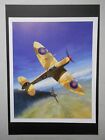 'AIRFORCE PRINT:  AMERICAN ACE LANCE 'WILDCAT' WADE DESTROYS BF109F TUNISIA 1943