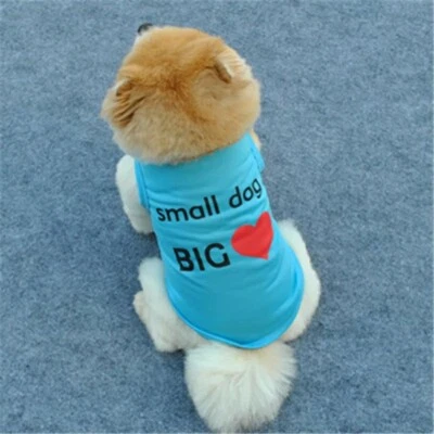 DOG Tee for small dogs Small Dog Big Heart Size M blue - Image 1 of 3