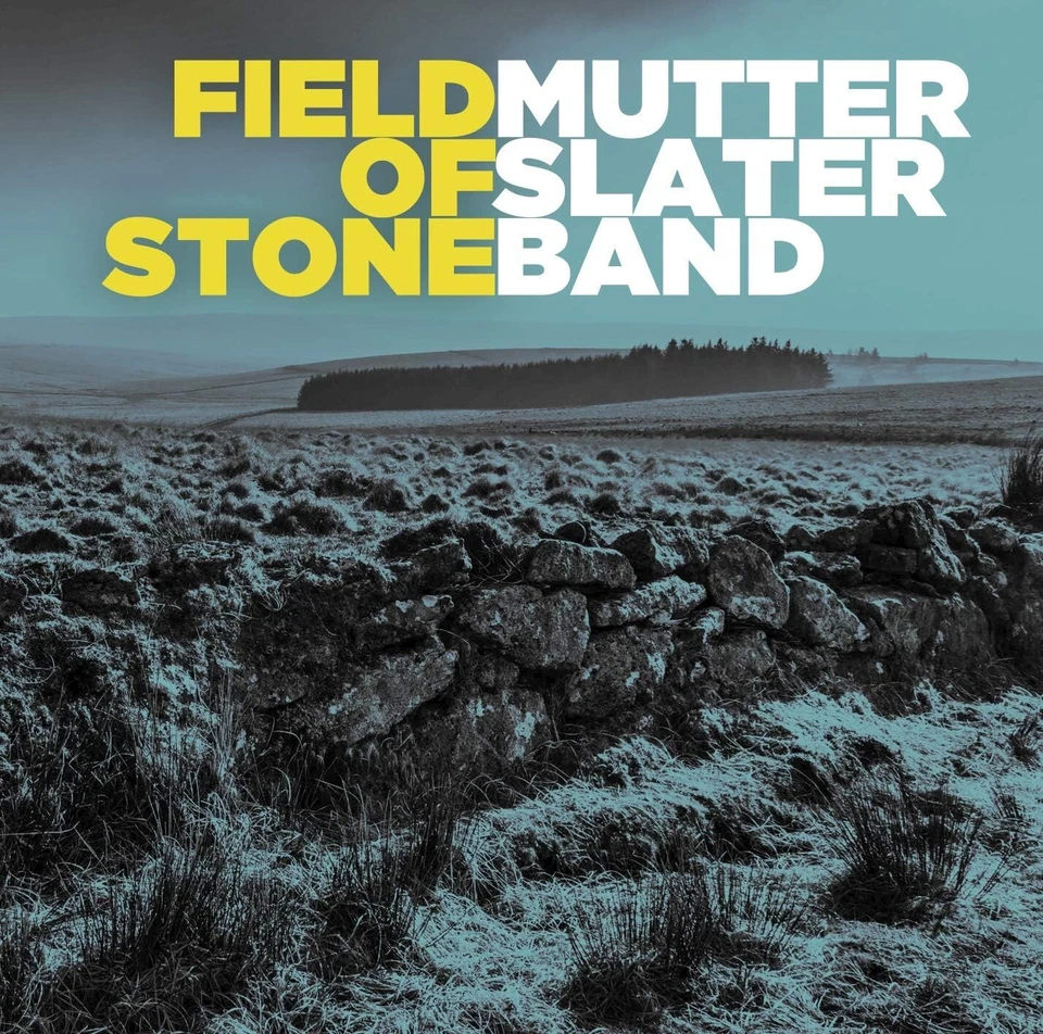 Mutter Slater Band - Field Of Stone (2018)  CD  New And Sealed ( Stackridge ) Foto 1 de 1