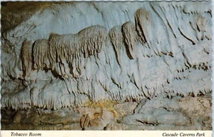 Cartolina Tabacco Room, Cascade Caverns Park, Boerne, Texas - Foto 1 di 2