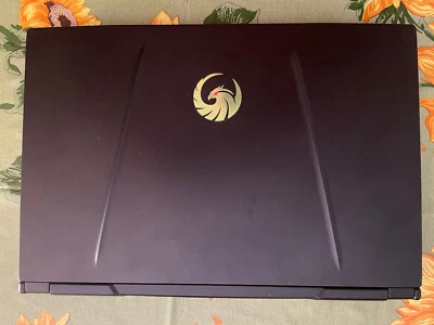 MSI Alpha 15 A4DEK-008IT, Notebook Gaming AMD, 15,6"  AMD Ryzen 7 4800 16 Gb Ram - Immagine 1 di 4