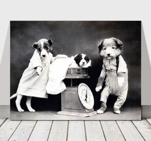 CUTE VINTAGE B&W Dogs Dressed Up With Puppy - CANVAS ART PRINT POSTER - 36x24" - Picture 1 of 1