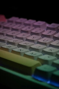 Hp logitech 334684-002, 323614-001, 2-button w/ scroll m-s69 mouse (black) - Picture 1 of 5