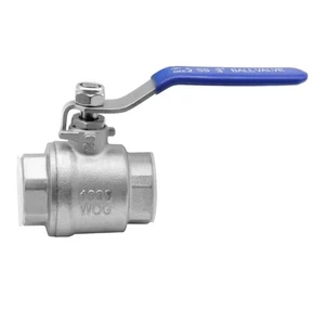 2-1/2" NPT Female 304 Stainless Steel Full Port Ball Valve with Blue Vinyl Handl - Picture 1 of 6