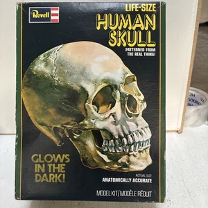 REVELL LIFE-SIZE HUMAN SKULL PLASTIC MODEL KIT GLOWS IN DARK 1977 NEW OPEN BOX - Picture 1 of 8