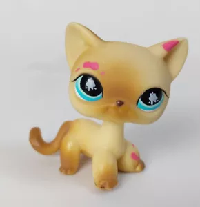 LPS Littlest Pet Shop Shorthair Cat #816 Katze - Bild 1 von 4