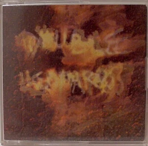 Double Leopards – The Blind Destroyer CDr, Mini, Limited Edition, Numbered - Picture 1 of 2