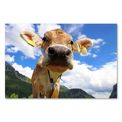 Postereck 2365 Poster Leinwand Kuh, Tier Natur Berge Alm Gebirge Rind Glocke - Bild 1 von 4