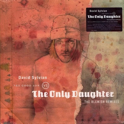 David Sylvain - The Good Son Vs The Only Daughter B (Vinyl LP - 2025 - Original) - Bild 1 von 2