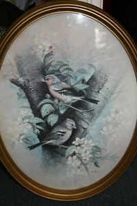 Ruane Manning Vogel ovaler gerahmter Kunstdruck - Bild 1 von 2