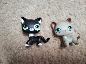 FALSO LPS Littlest Pet Shop gatos de pelo corto paquete de 2 - Imagen 1 de 6