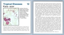 Kala-azar #12 Tropical Diseases Home Medical Guide 1975-8 Hamlyn Card