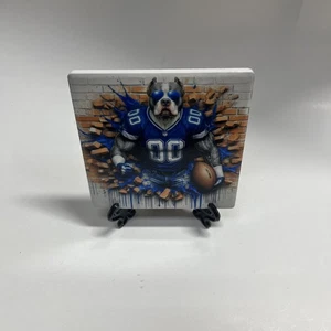 Grau Pit Bull Dallas Cowboys 4x4 Keramik Untersetzer Kork Unterlage mit Ständer Neu - Bild 1 von 6
