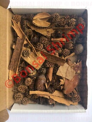 BONSAI SHRIMP Black Water Leaf Litter Tanins Box - fish shrimp crab Alder Cones Catappa Leaves