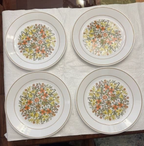Vintage Indian Summer 10.25 Dinner Plate Corelle By Corning - Picture 1 of 2