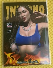 2023 P4P MMA INFERNO ARIANNY CELESTE    CUSTOM TRADING CARD 1/1 UFC ACEO